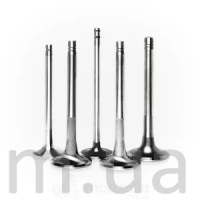 Клапани двигуна