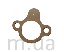 Прокладки натягувача ланцюга ГРМ