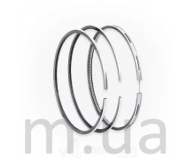 Поршневі кільця