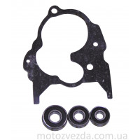 Ремкомплект редуктора DIO (прокладка+подшипники 3шт)
