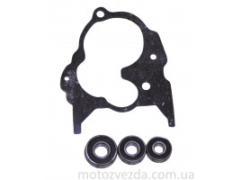 Ремкомплект редуктора DIO (прокладка+подшипники 3шт)