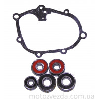 Ремкомплект редуктора JOG SA36/39 (прокладка+подшипники 5шт)