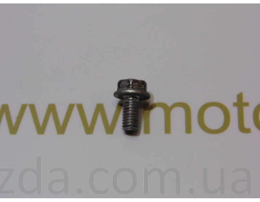 Болт 6 (18-22mm.) HONDA/SUZUKI/YAMAHA (под ключ 10)