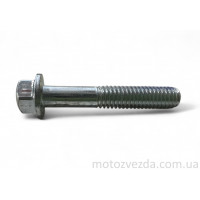 Болт із фланцем M6 L35 (1 шт, хром)