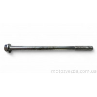 Болт із фланцем M6 L100 (1 шт, хром)