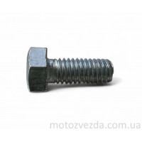 Болт M5 L12 (1 шт) 
