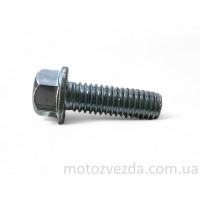 Болт із фланцем M6 L18 (1 шт, хром)