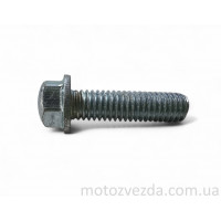 Болт із фланцем M6 L22 (1 шт, хром)