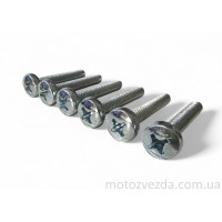 Комплект болтов картера YAMAHA "SALO" (под отвертку) 