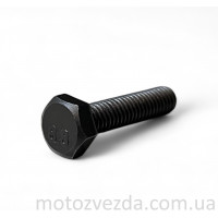 Болт заводной ножки 6x25