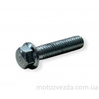 Болт із фланцем M6 L25 (1шт, хром)