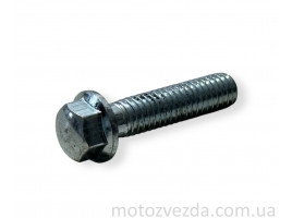 Болт із фланцем M6 L25 (1шт, хром)