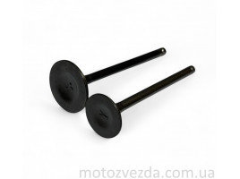 Клапан (впуск+выпуск) SUZUKI ADDRESS V125 33G00