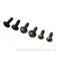 Комплект шурупів 6шт. для скрутки голови Yamaha JOG SA-36/SA-39/SA-55 Japan