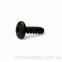 Шуруп большой T25 21mm. Yamaha Japan