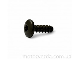 Шуруп большой T25 21mm. Yamaha Japan
