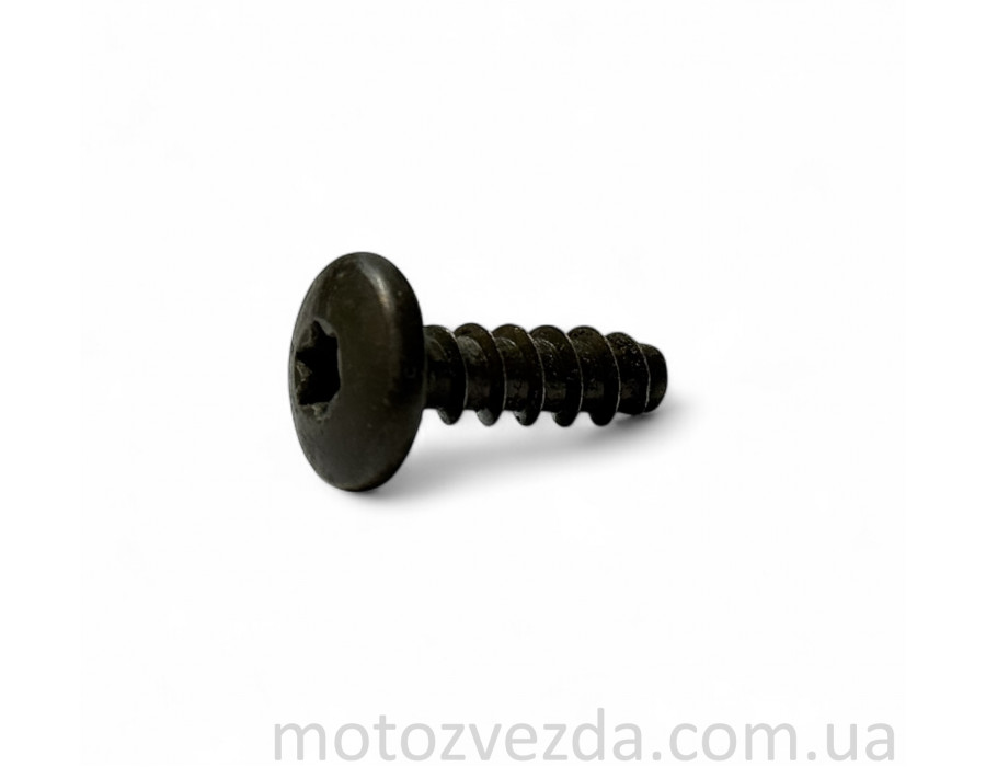 Шуруп большой T25 21mm. Yamaha Japan