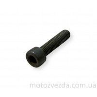 Болт заводной лапки Yamaha M6 / H5 / 31mm Japan