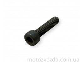 Болт заводной лапки Yamaha M6 / H5 / 31mm Japan