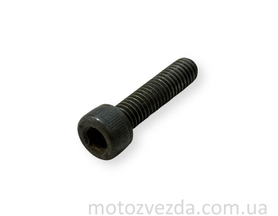Болт заводной лапки Yamaha M6 / H5 / 31mm Japan