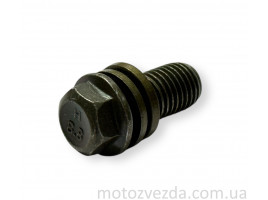 Болт гальмівної системи (гідравліки) M10, L20 +прокладки 'LIPAI'
