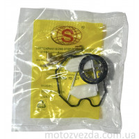 Ремкомплект карбюратора PZ27 ''SEE-SL''