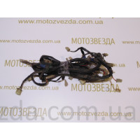 Центральна проводка Honda Topic AF 38