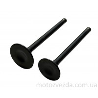 Клапана комплект GS110 (ACTIVE) FORMULA 6