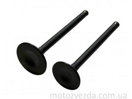 Клапана комплект GS110 (ACTIVE) FORMULA 6