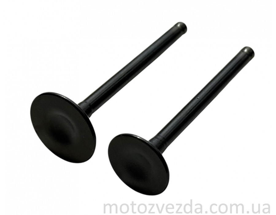 Клапана комплект GS110 (ACTIVE) FORMULA 6