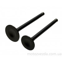 Клапана комплект JH-70 Delta  FORMULA 6