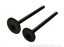 Клапана комплект JH-70 Delta  FORMULA 6