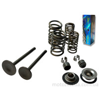 Клапаны ГРМ d20/23, h65/65.4 Delta 70 в сборе "LIPAI"