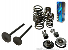 Клапани ГРМ d20/23, h65/65.4 Delta 70 у зборі "LIPAI"