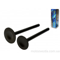 Клапаны ГРМ d20/23, h65/65.4 Delta 70 "LIPAI"