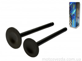 Клапани ГРМ d20/23, h65/65.4 Delta 70 "LIPAI"