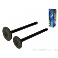 Клапаны ГРМ d20/23, h65/65.4 Delta 110, Active 110 "LIPAI"