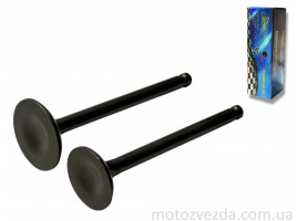 Клапани ГРМ d20/23, h65/65.4 Delta 110, Active 110 "LIPAI"