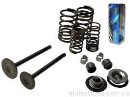 Клапани ГРМ d20/23, h65/65.4 Delta 110, Active 110 у зборі "LIPAI"