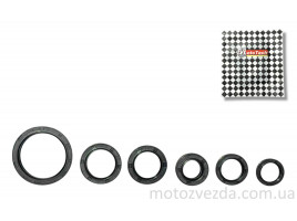 Набір сальників JH-110/DELTA/SAVAGE/ACTIVE 110сс (Компл. 6шт.)