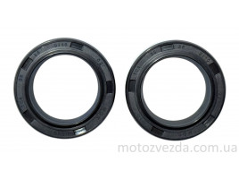 Сальник перед. аморт DELTA 25*35*10 (компл. 2 шт.)