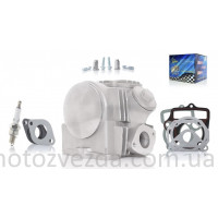 Головка циліндра 147FMD Delta 70 D47, d20/23 у зборі #PRO 'LIPAI'