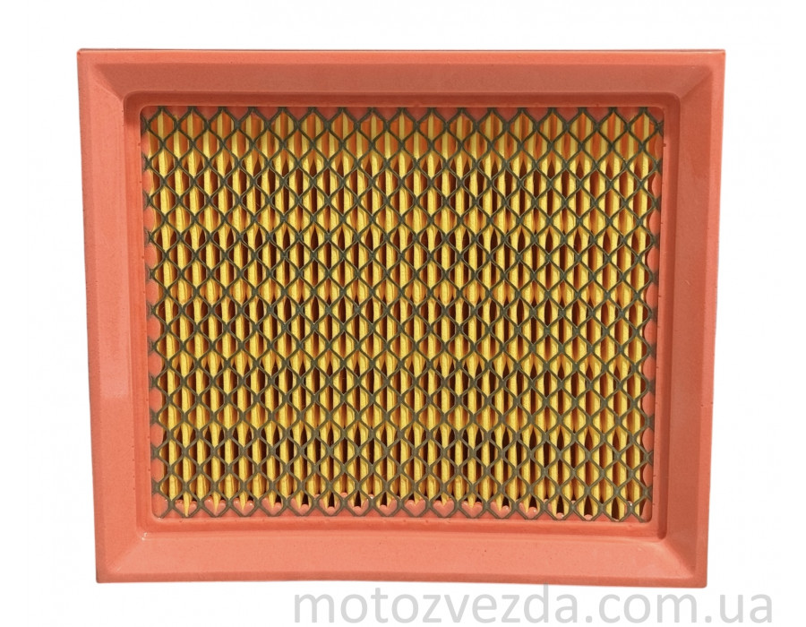 Фильтр воздушный TTR250