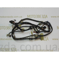 Центральна проводка Honda Giorno AF 24