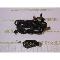 Центральная проводка Suzuki Sepia RS