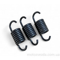 Пружинки заднього варіатора (B060) YAMAHA (1500 оборотів) M-T