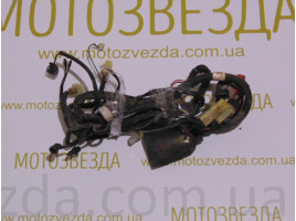 Проводка Honda GYRO X TA01E